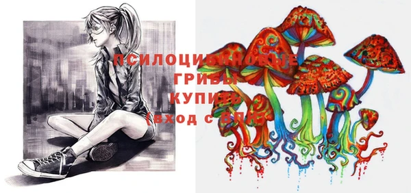 кокаин премиум Вяземский