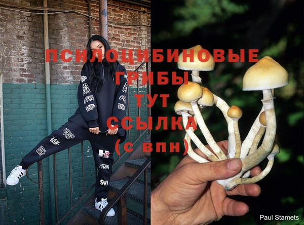 прущий лед Вязьма