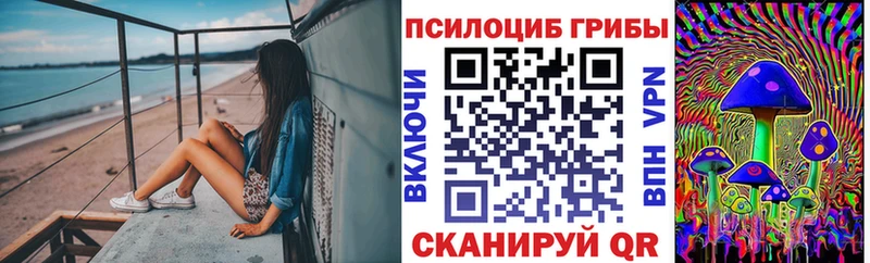 Псилоцибиновые грибы мицелий  наркотики  гидра зеркало  Хабаровск 